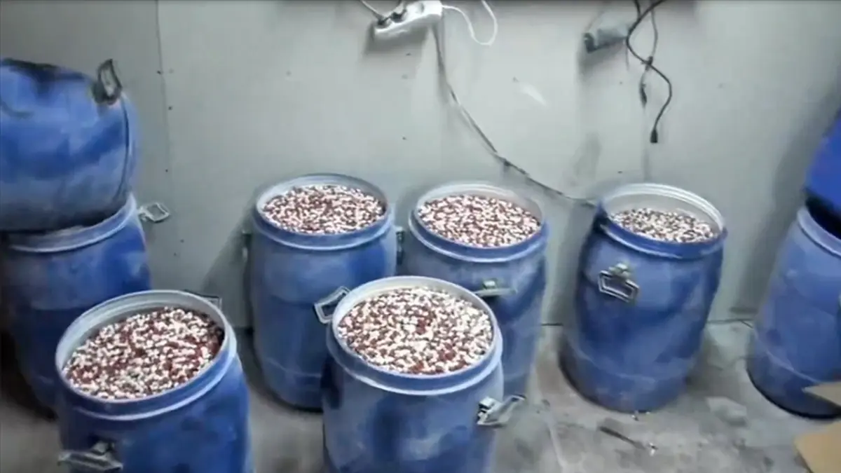 İstanbul ve İzmir’de dev uyuşturucu operasyonu: Milyonlarca hap ele geçirildi haberinin görseli