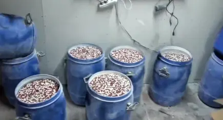 İstanbul ve İzmir’de dev uyuşturucu operasyonu: Milyonlarca hap ele geçirildi