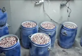 İstanbul ve İzmir’de dev uyuşturucu operasyonu: Milyonlarca hap ele geçirildi