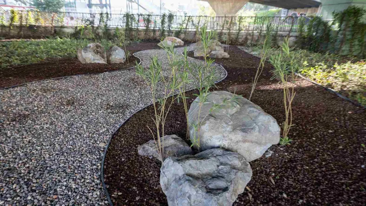 İzmir’de yeşil alanlarda kurakçıl dönüşüm haberinin görseli