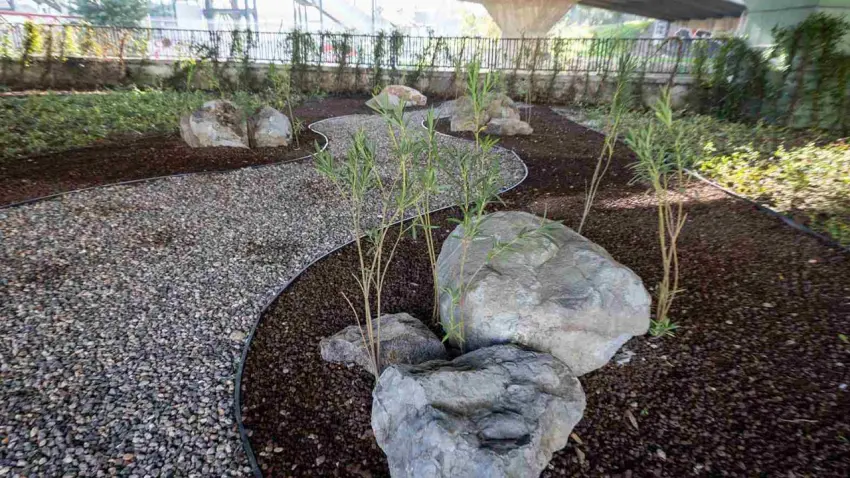 İzmir’de yeşil alanlarda kurakçıl dönüşüm