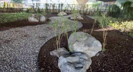 İzmir’de yeşil alanlarda kurakçıl dönüşüm