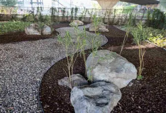 İzmir’de yeşil alanlarda kurakçıl dönüşüm