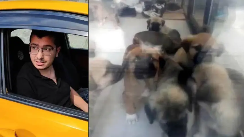 Köpekleri istismar edip öldürmüştü: Ankara’daki dehşet davada gerekçeli karar açıklandı