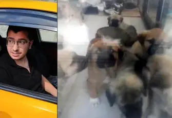 Köpekleri istismar edip öldürmüştü: Ankara’daki dehşet davada gerekçeli karar açıklandı