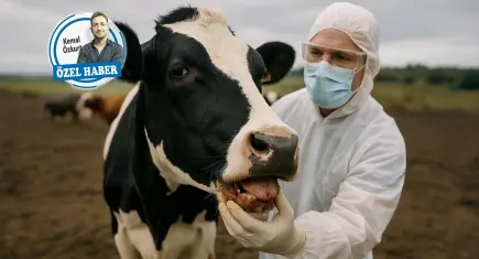 Şap hastalığı sütte arz-fiyat dengesini bozdu