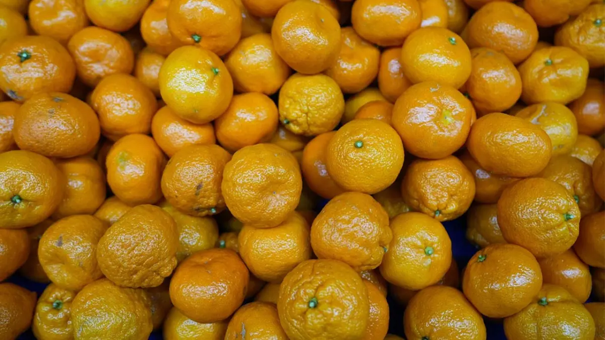 Türkiye, mandalina ihracatında rekor gelir elde etti haberinin görseli