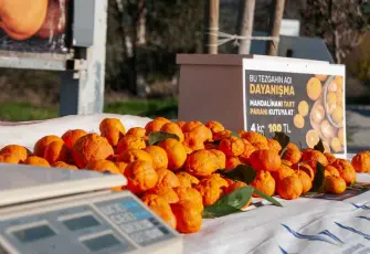 Güzelbahçe’de mandalina dayanışması