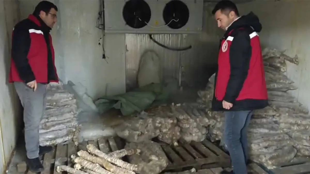 Değeri 4 milyon lira: Manisa'da bozulmuş kokoreç ele geçirildi haberinin görseli