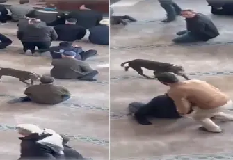 Camiye giren pitbulla ekipler el koydu: Sahibine adli ve idari işlem yapıldı