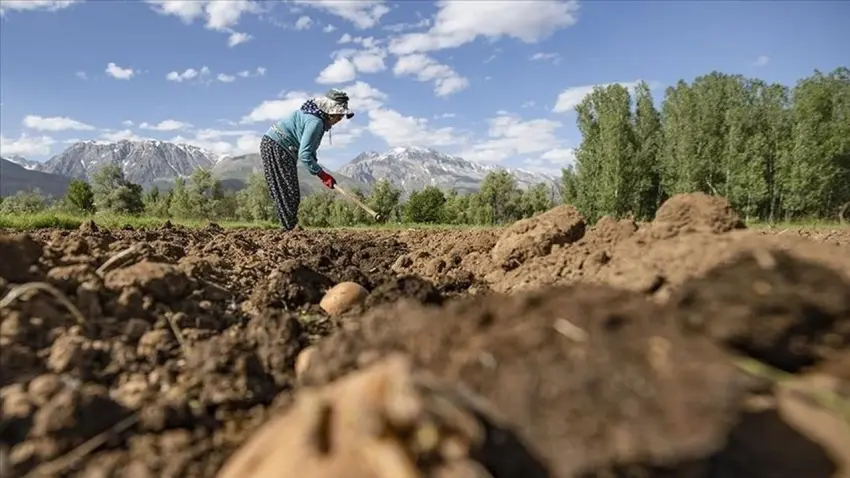 IPARD-III’ten kırsala güçlü destek: 150’den fazla yerel gruba 2,2 milyar TL hibe haberinin görseli