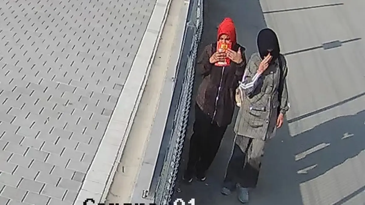Evlere girip 755 bin liralık vurgun yapan 2 kadın tutuklandı: Arkadaşımızı ziyarete gittik haberinin görseli