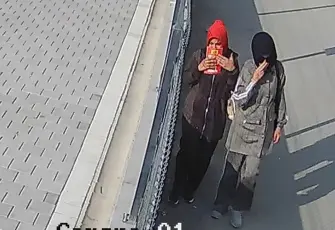 Evlere girip 755 bin liralık vurgun yapan 2 kadın tutuklandı: Arkadaşımızı ziyarete gittik