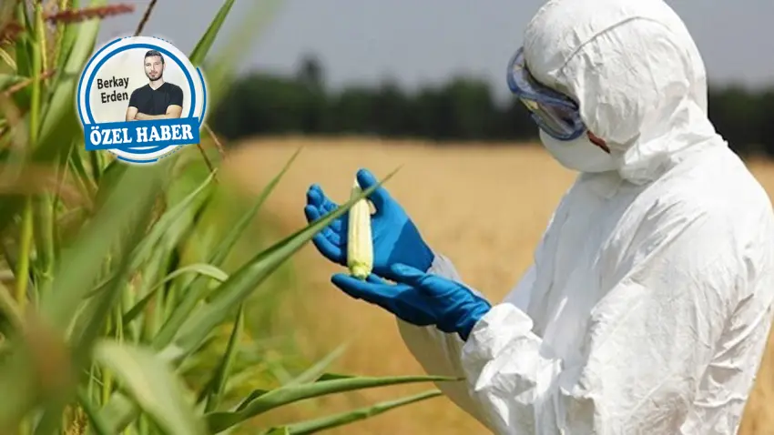 Tarımda 1 işçi maaşına 3 mühendis çalışıyor haberinin görseli