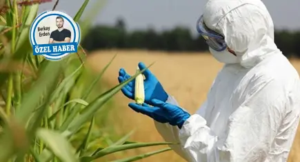 Tarımda 1 işçi maaşına 3 mühendis çalışıyor