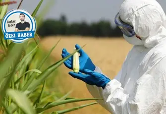 Tarımda 1 işçi maaşına 3 mühendis çalışıyor