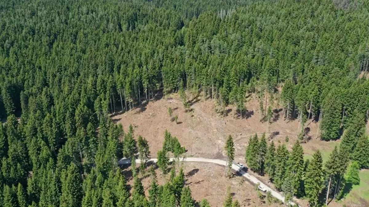 11 ilde bazı bölgeler orman sınırları dışına çıkarıldı haberinin görseli