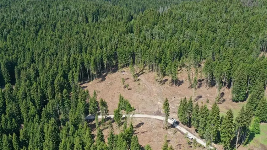 11 ilde bazı bölgeler orman sınırları dışına çıkarıldı haberinin görseli