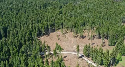 11 ilde bazı bölgeler orman sınırları dışına çıkarıldı