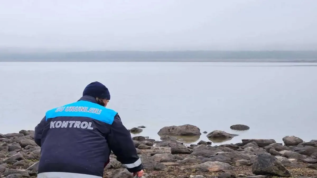 Kaçak ağa takılan 105 sazan canlı kurtarıldı haberinin görseli