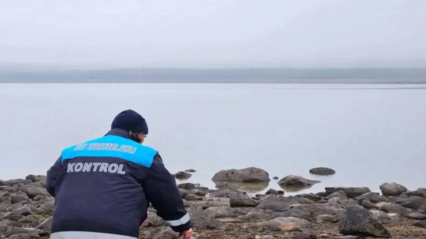 Kaçak ağa takılan 105 sazan canlı kurtarıldı