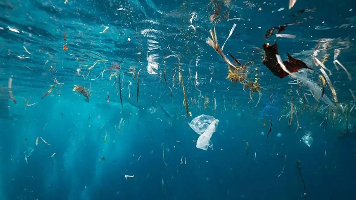 Mikroplastikler endişe yaratıyor haberinin görseli