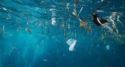 Mikroplastikler endişe yaratıyor