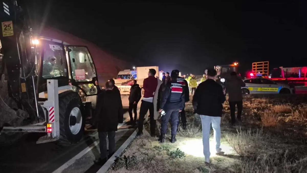 Milyonluk yarış tayları çiftlikten kaçtı: 8'i öldü haberinin görseli