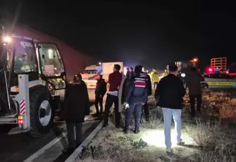 Milyonluk yarış tayları çiftlikten kaçtı: 8'i öldü