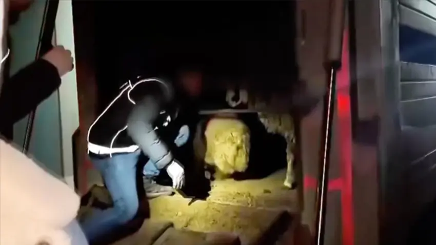 Siirt’te hayvanların karın boşluğundan 54,6 kilo uyuşturucu çıktı haberinin görseli