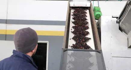 Devlet destekli proje zeytin ve zeytinyağı ihracatçılarına yeni fırsatlar sunuyor