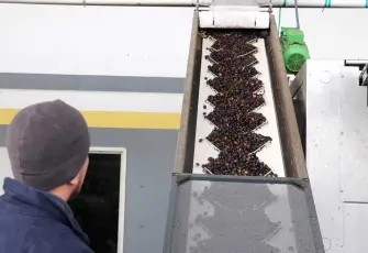 Devlet destekli proje zeytin ve zeytinyağı ihracatçılarına yeni fırsatlar sunuyor