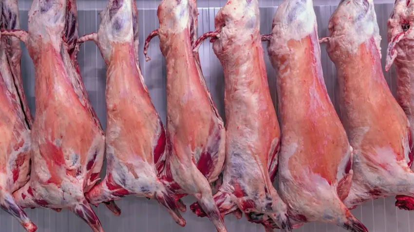 Bir yılda dana eti yüzde 53, kuzu eti yüzde 22 arttı haberinin görseli