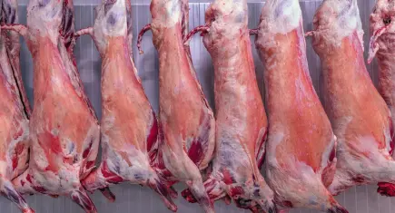 Bir yılda dana eti yüzde 53, kuzu eti yüzde 22 arttı