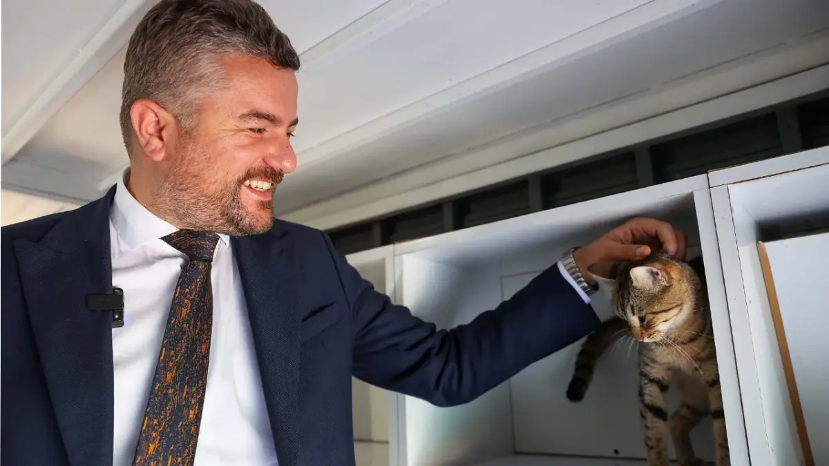 Buca’da 300 can dostu yeni yuvasında haberinin görseli