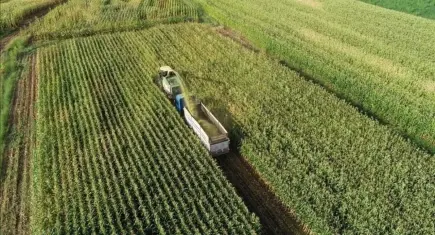 Tarım ve Kırsal Kalkınmayı Destekleme Kurumu 42 sözleşmeli uzman personel alacak: TKDK başvuru tarihi ne zaman?