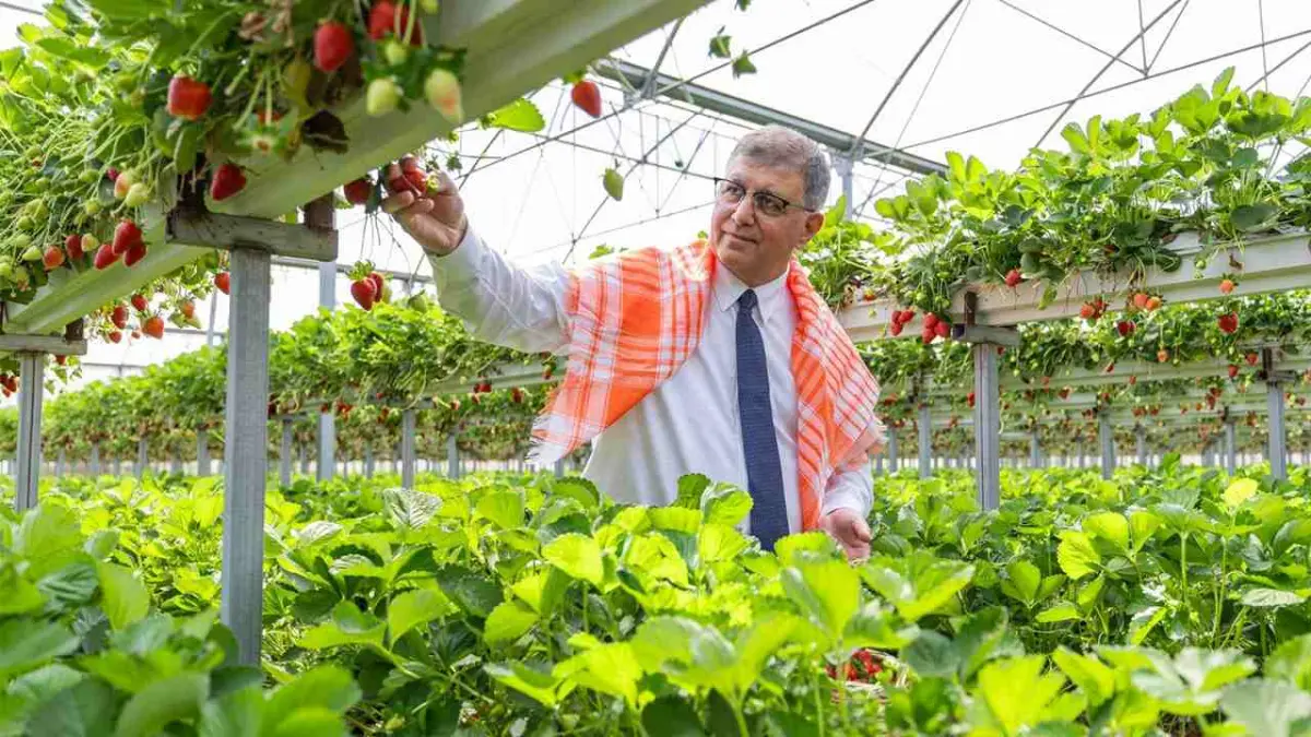 2025 yılında çiftçiye 550 milyon lira destek sağlandı haberinin görseli