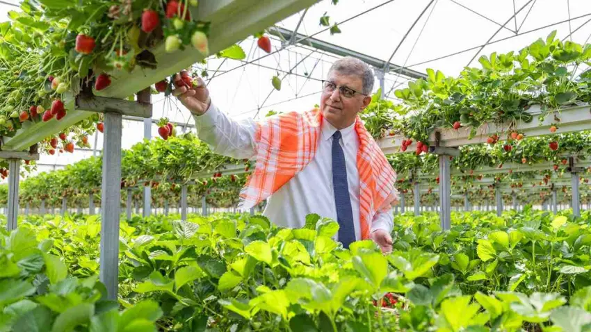 2025 yılında çiftçiye 550 milyon lira destek sağlandı