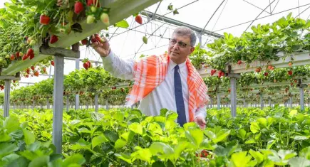 2025 yılında çiftçiye 550 milyon lira destek sağlandı