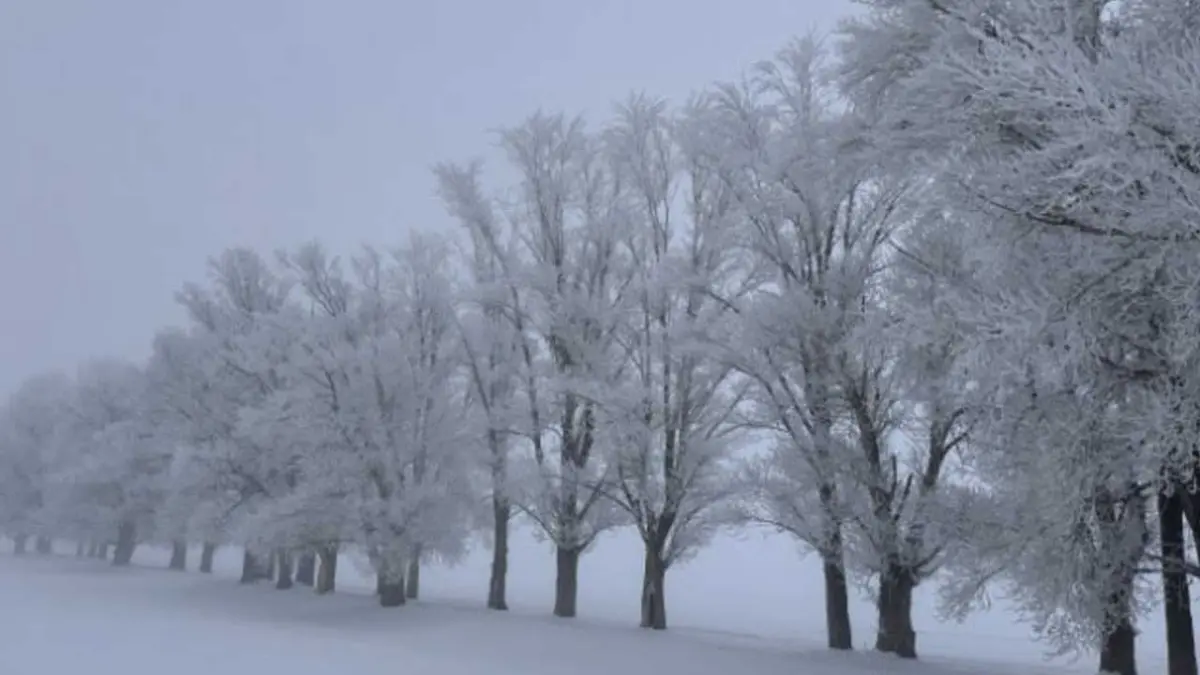 Türkiye'nin en soğuk yeri belli oldu! haberinin görseli