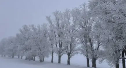 Türkiye'nin en soğuk yeri belli oldu!