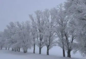 Türkiye'nin en soğuk yeri belli oldu!