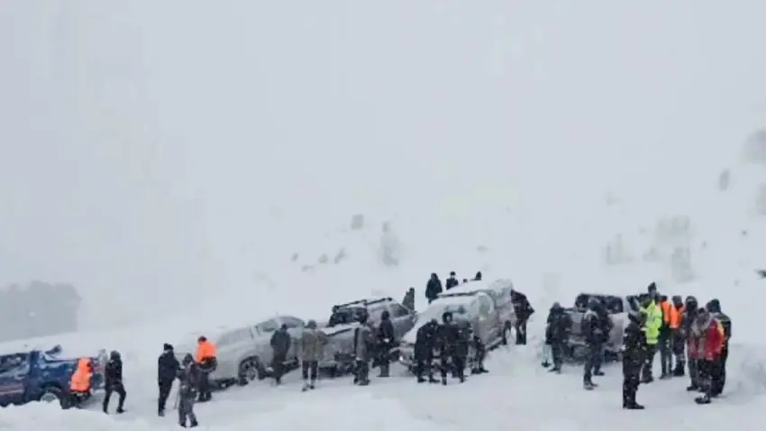 Artvin'de çığ felaketi: 3 çobandan 1’i öldü, 2’sini arama çalışmaları sürüyor haberinin görseli