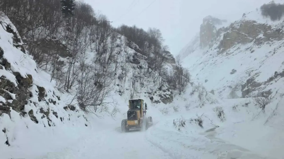 Artvin'de çığ felaketi: 3 kişi çığ altında kaldı! haberinin görseli