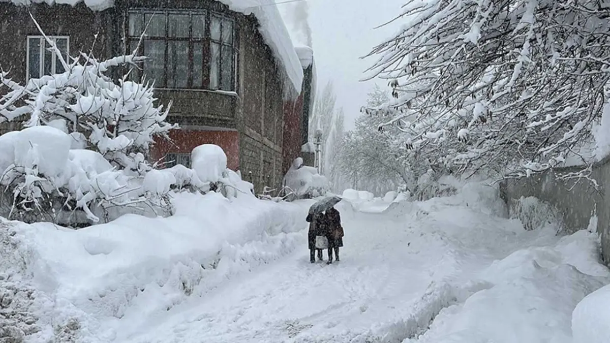 Doğu’da kar esareti: 4 ilde 1644 yerleşim yolu kapandı!  haberinin görseli