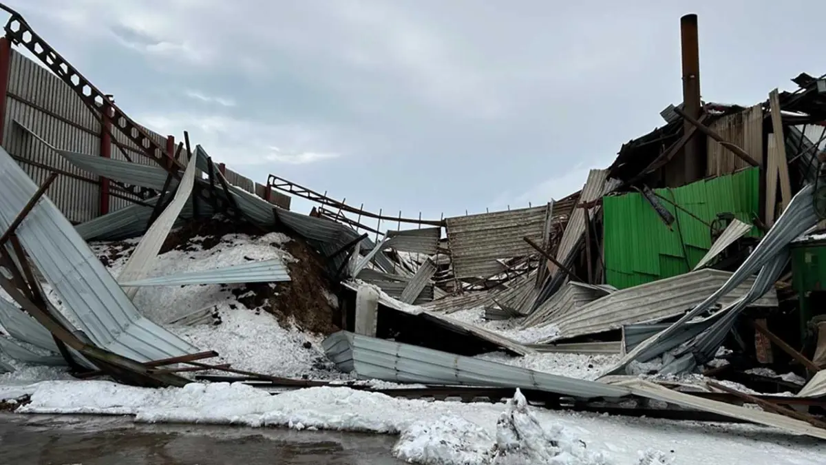 Kar kütleleri çatıları çökertti: 12 fabrika ve bir ahır yerle bir oldu! haberinin görseli