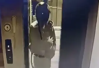 Adana’da kasklı şüpheli asansörde idrarını yapıp, kuşları çaldı