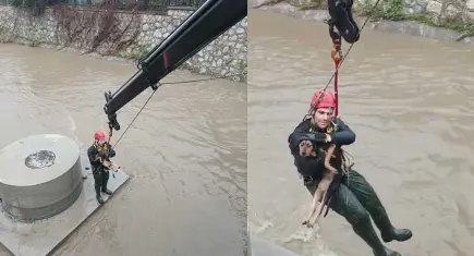 Karabağlar’da dereye düşen köpek ekiplerin müdahalesiyle kurtarıldı