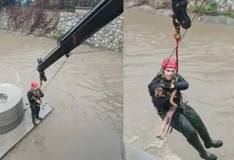 Karabağlar’da dereye düşen köpek ekiplerin müdahalesiyle kurtarıldı