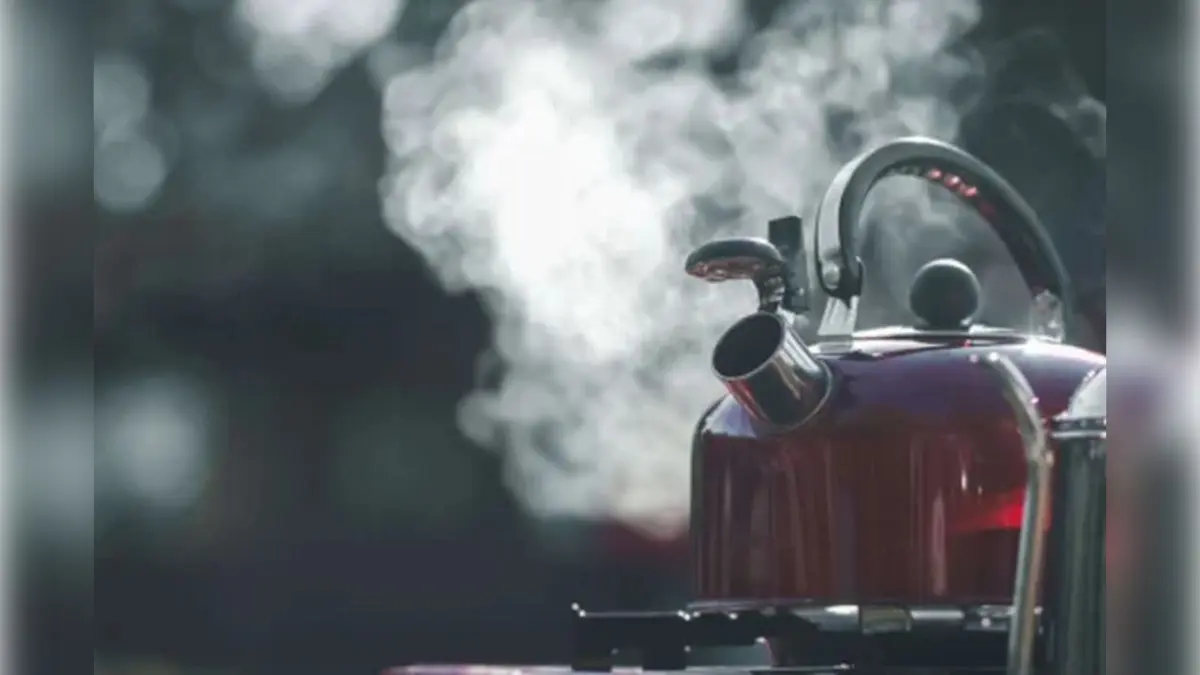 Kız kardeşine kaynar su döken sanığa 1 yıl 9 ay hapis haberinin görseli